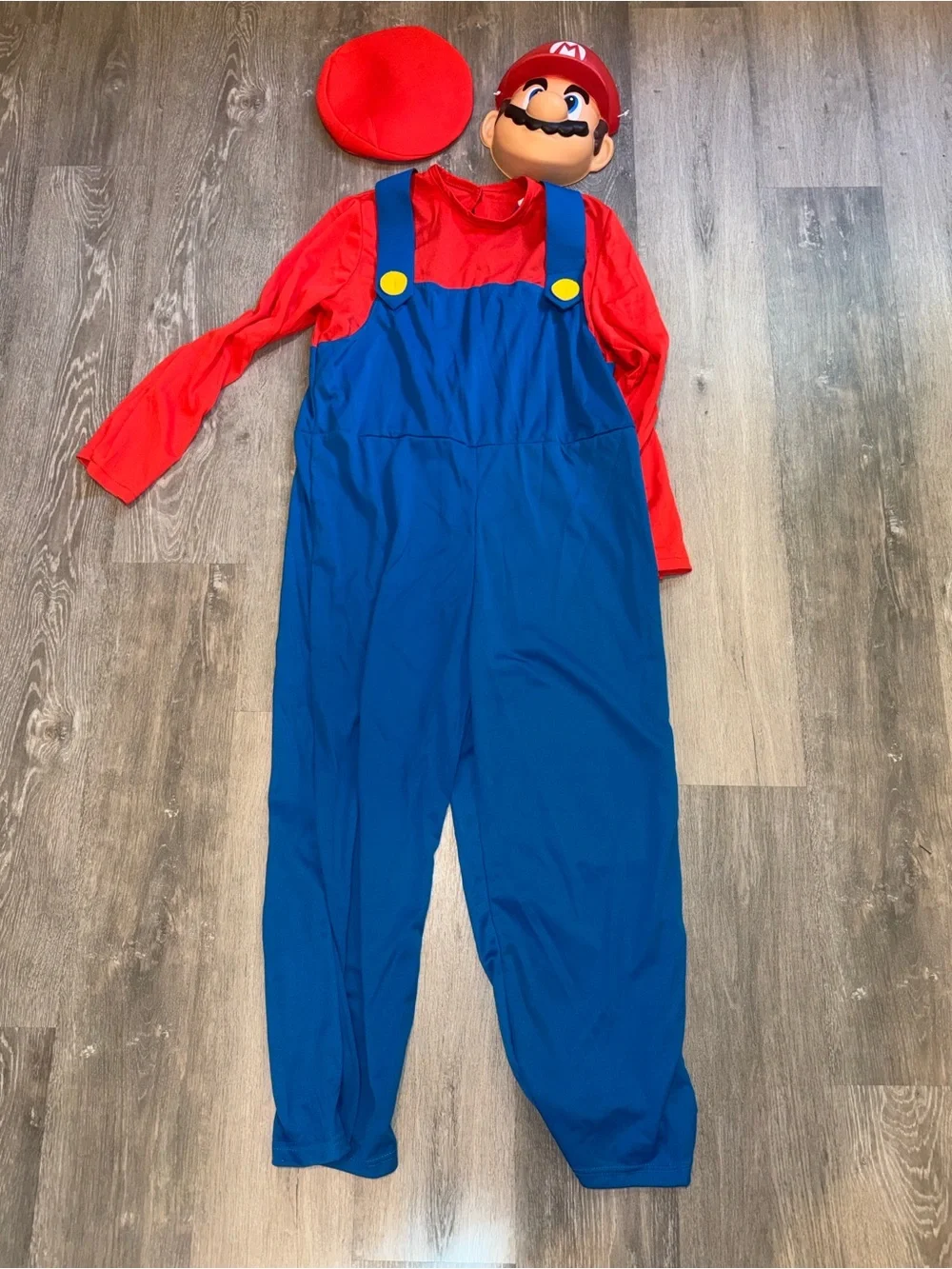 Mario/Luigi costume set
